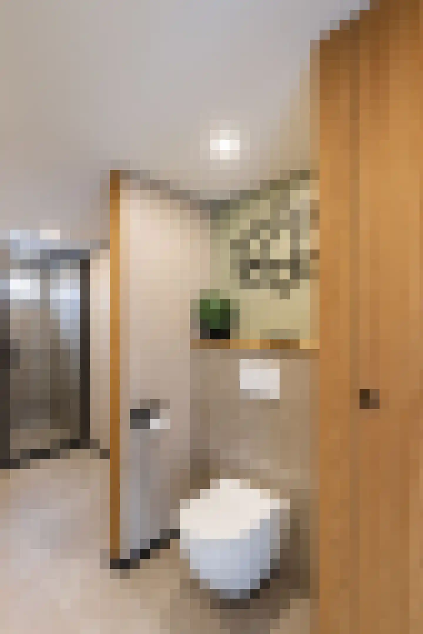 Sumatrastraat 8 Vlaardingen thumbnail 36