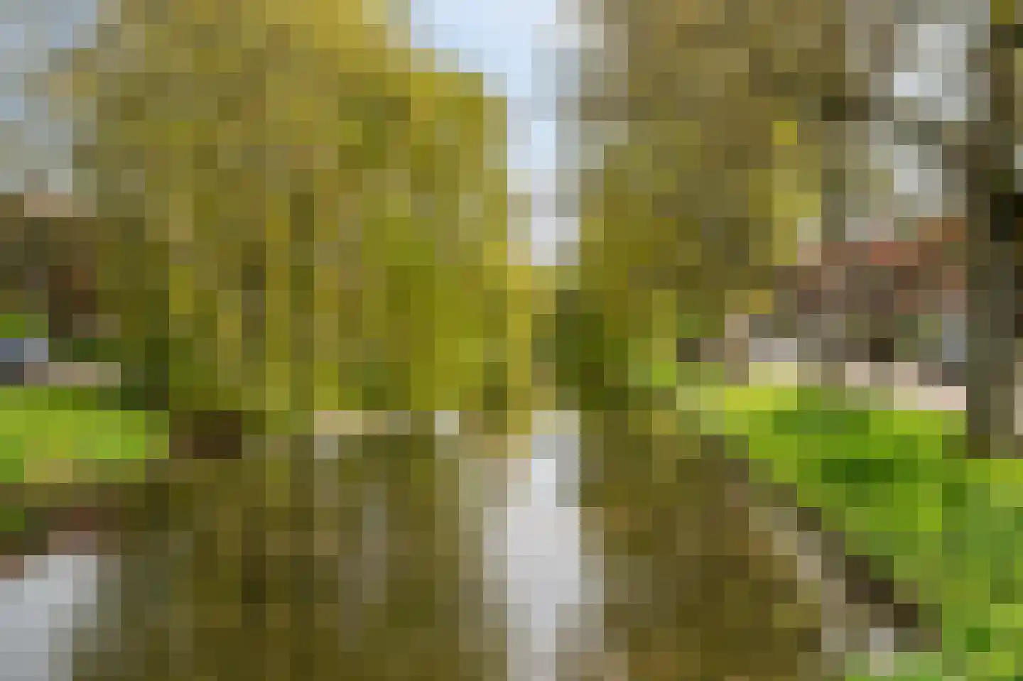 Sumatrastraat 8 Vlaardingen thumbnail 41