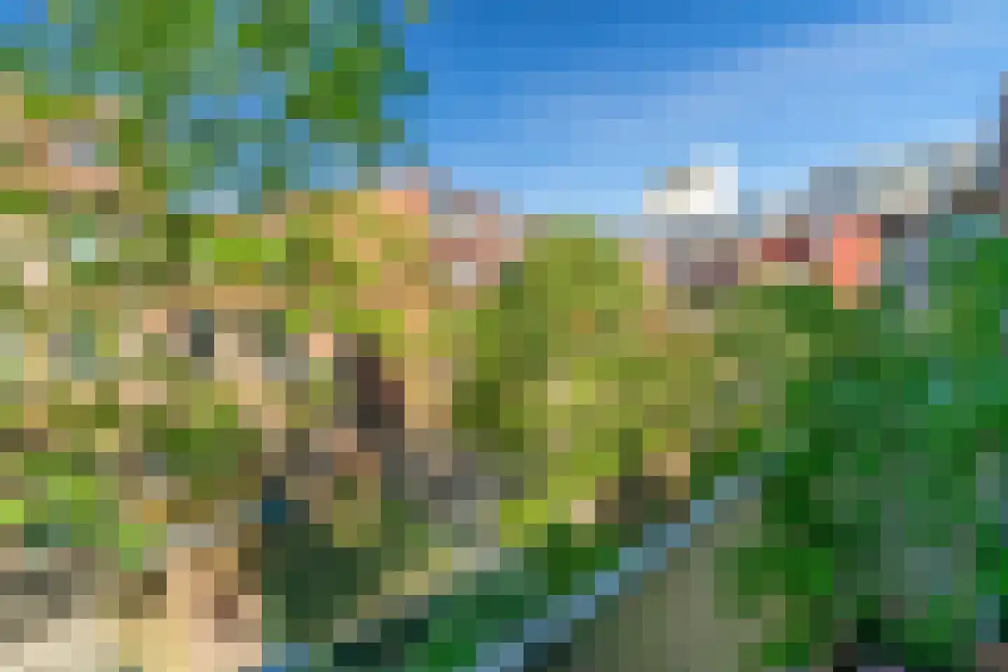 Sumatraweg 13 A Rotterdam thumbnail 20
