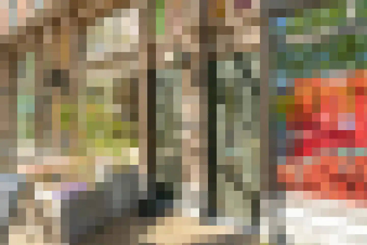 Sumatraweg 13 A Rotterdam thumbnail 33