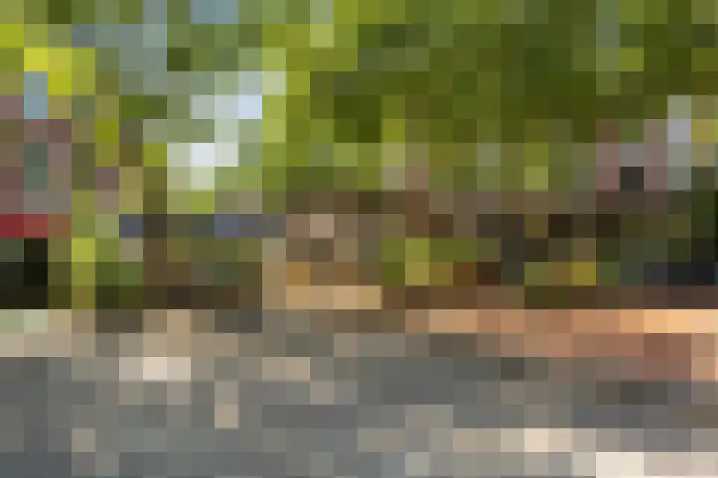Sumatraweg 13 A Rotterdam thumbnail 42