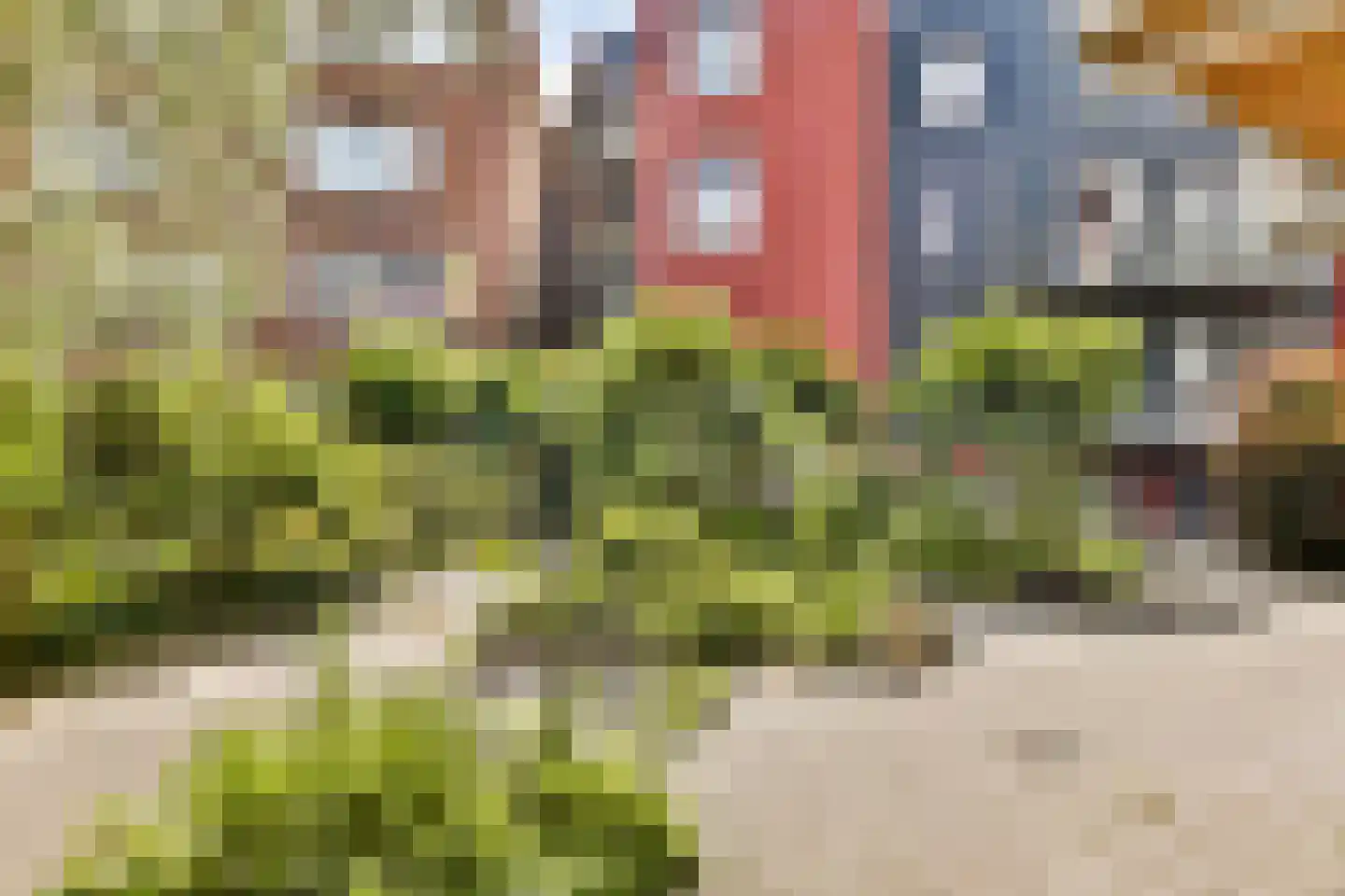 Sumatraweg 17 B Rotterdam thumbnail 17