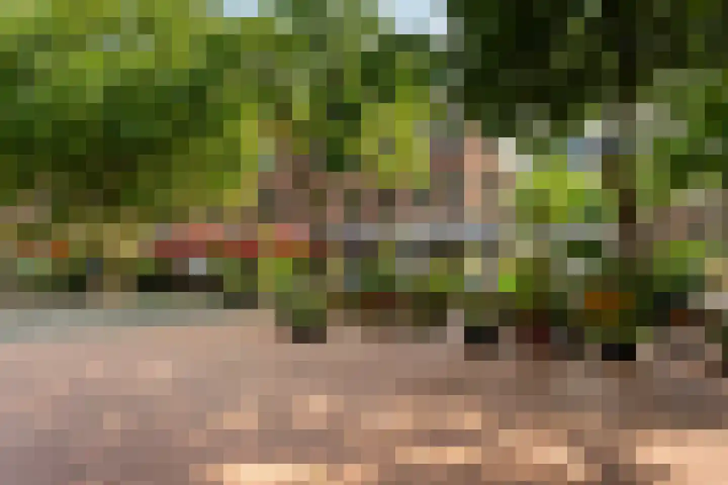 Sumatraweg 17 B Rotterdam thumbnail 21