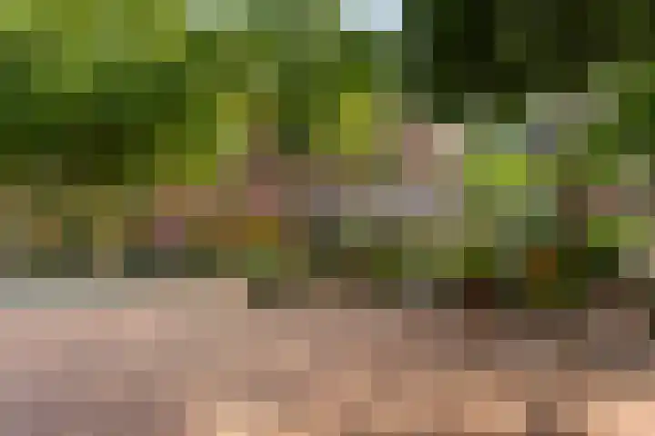 Sumatraweg 17 C Rotterdam thumbnail 20
