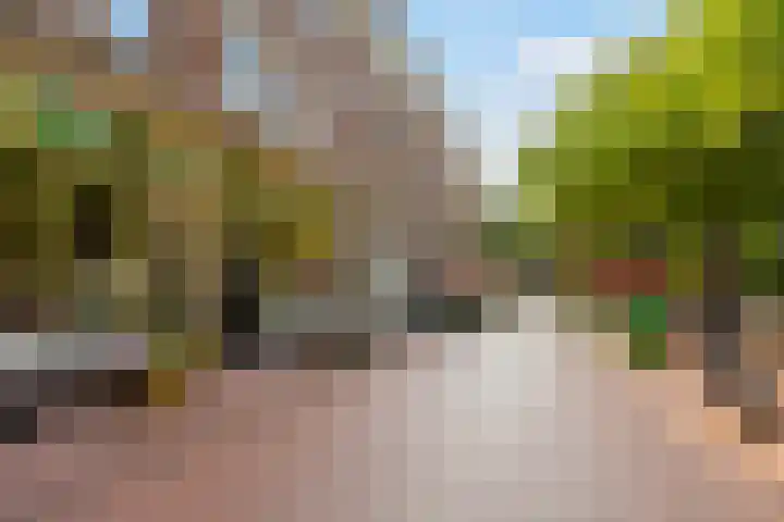Sumatraweg 17 C Rotterdam thumbnail 22