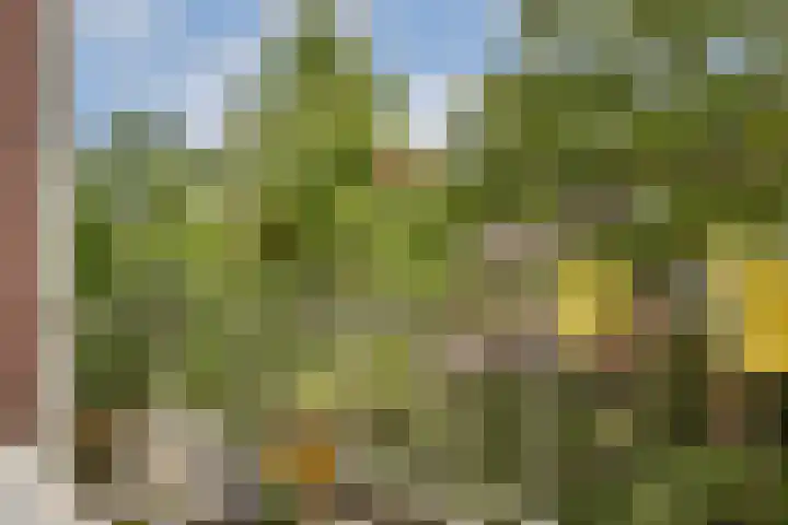 Sumatraweg 17 C Rotterdam thumbnail 4
