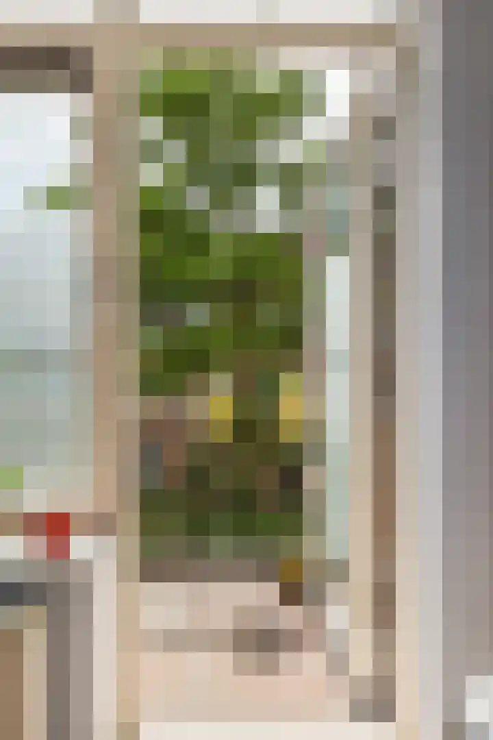 Sumatraweg 17 C Rotterdam thumbnail 7
