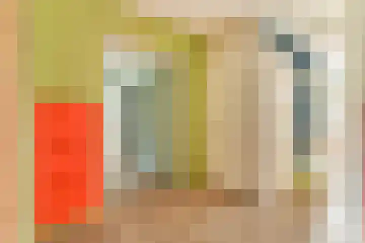Sumatraweg 17 C Rotterdam thumbnail 8