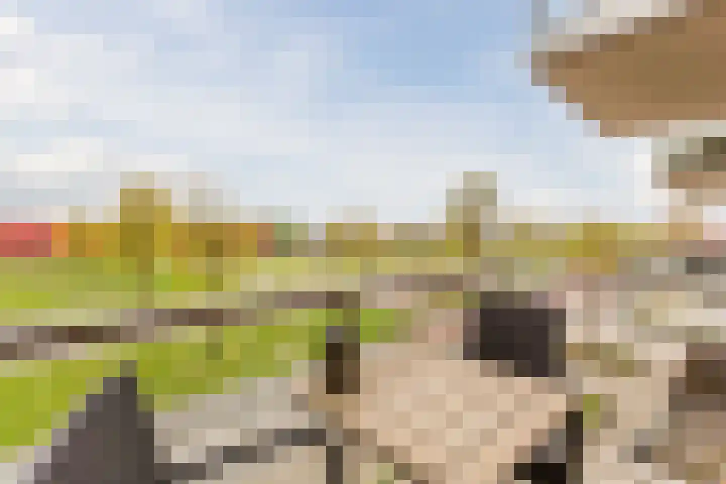 Sumatraweg 21 Almere thumbnail 31