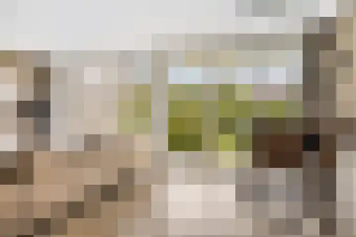 Sumatraweg 222 Almere thumbnail 10