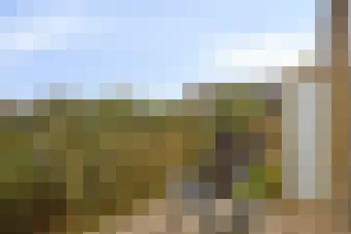 Sumatraweg 234 Almere thumbnail 17