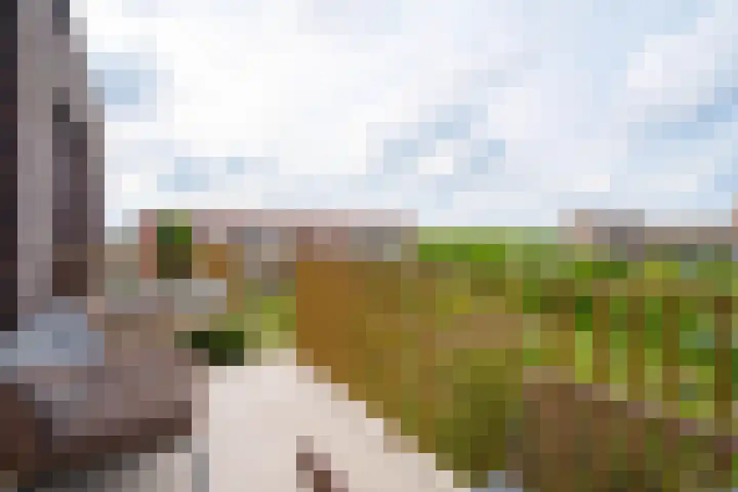 Sumatraweg 264 Almere thumbnail 24