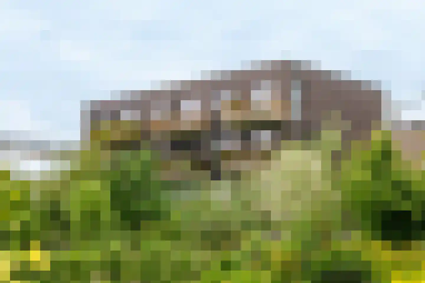 Sumatraweg 264 Almere thumbnail 29