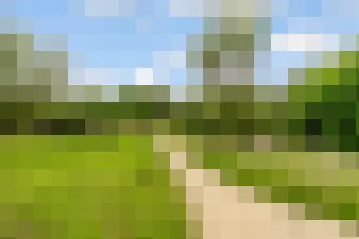 Sumatraweg 310 Almere thumbnail 34