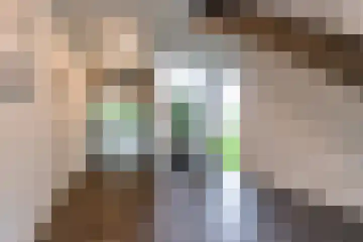 Sumatraweg 310 Almere thumbnail 6
