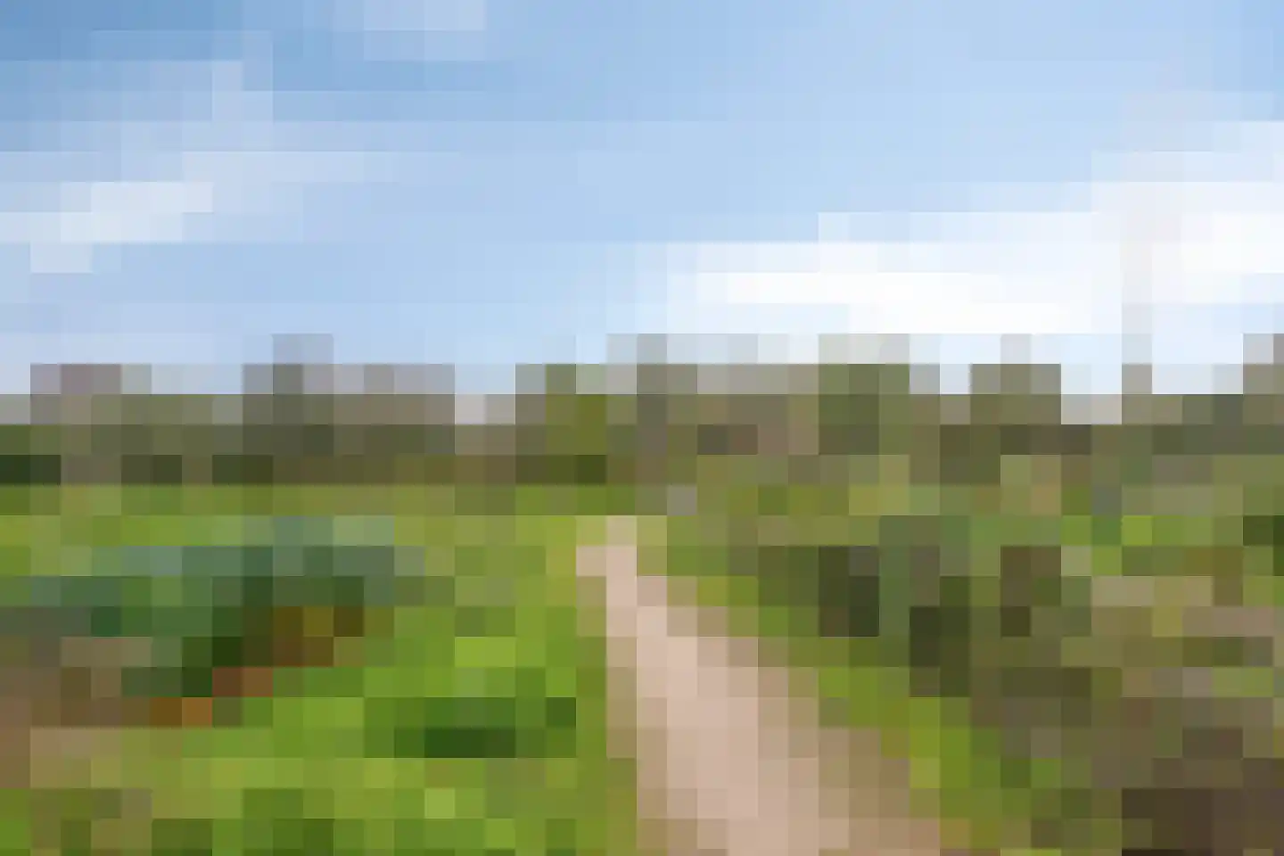 Sumatraweg 342 Almere thumbnail 38
