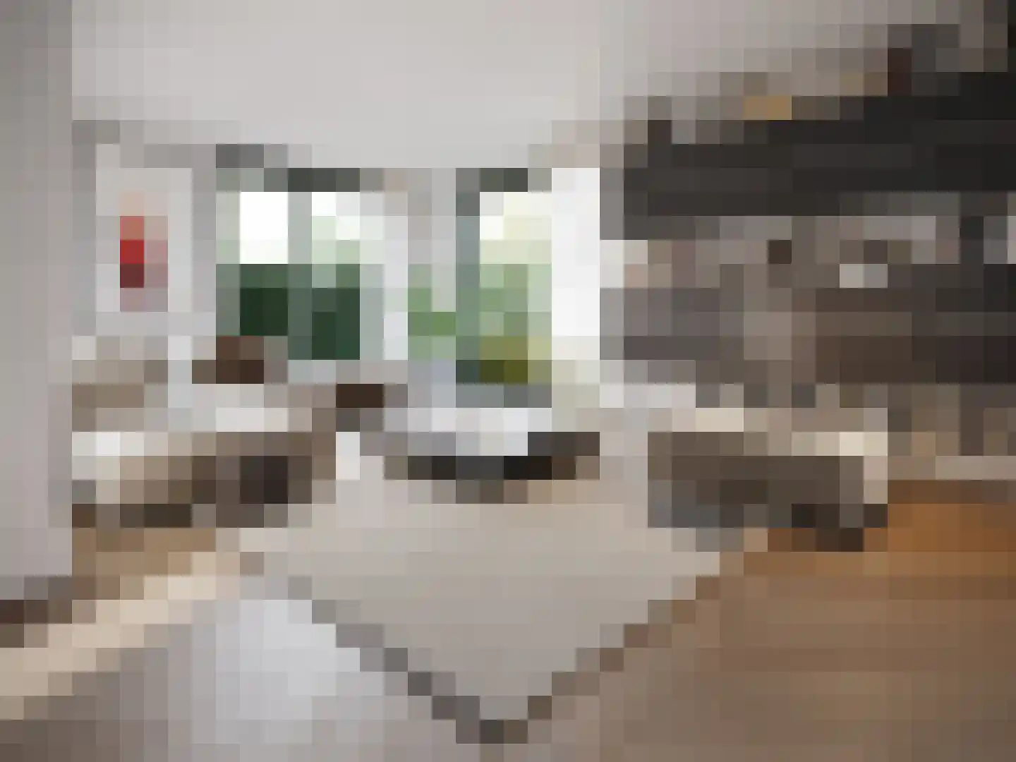 Sumpelmaat 64 Borne thumbnail 4