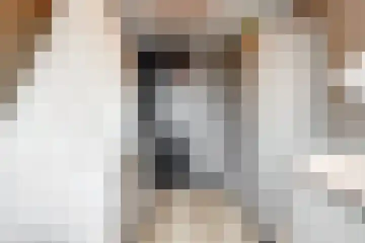 Sumpiusstraat 11 Purmerend thumbnail 17