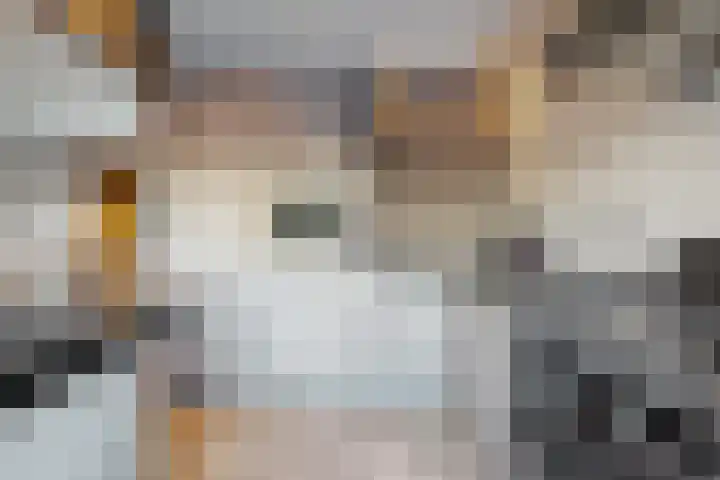 Sumpiusstraat 11 Purmerend thumbnail 5