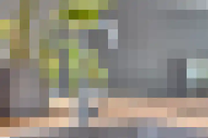 Sumpiusstraat 18 Purmerend thumbnail 10