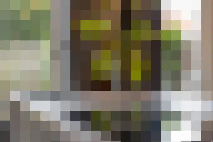 Sumpiusstraat 18 Purmerend thumbnail 11