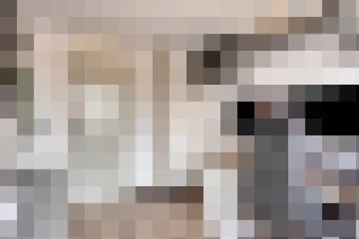 Sumpiusstraat 18 Purmerend thumbnail 27