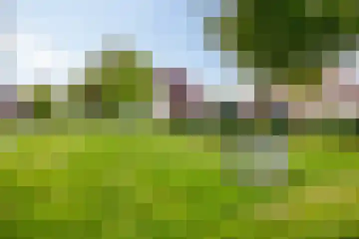 Sumpiusstraat 18 Purmerend thumbnail 41