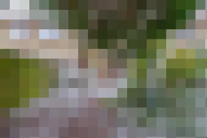 Sumpiusstraat 7 Purmerend thumbnail 36