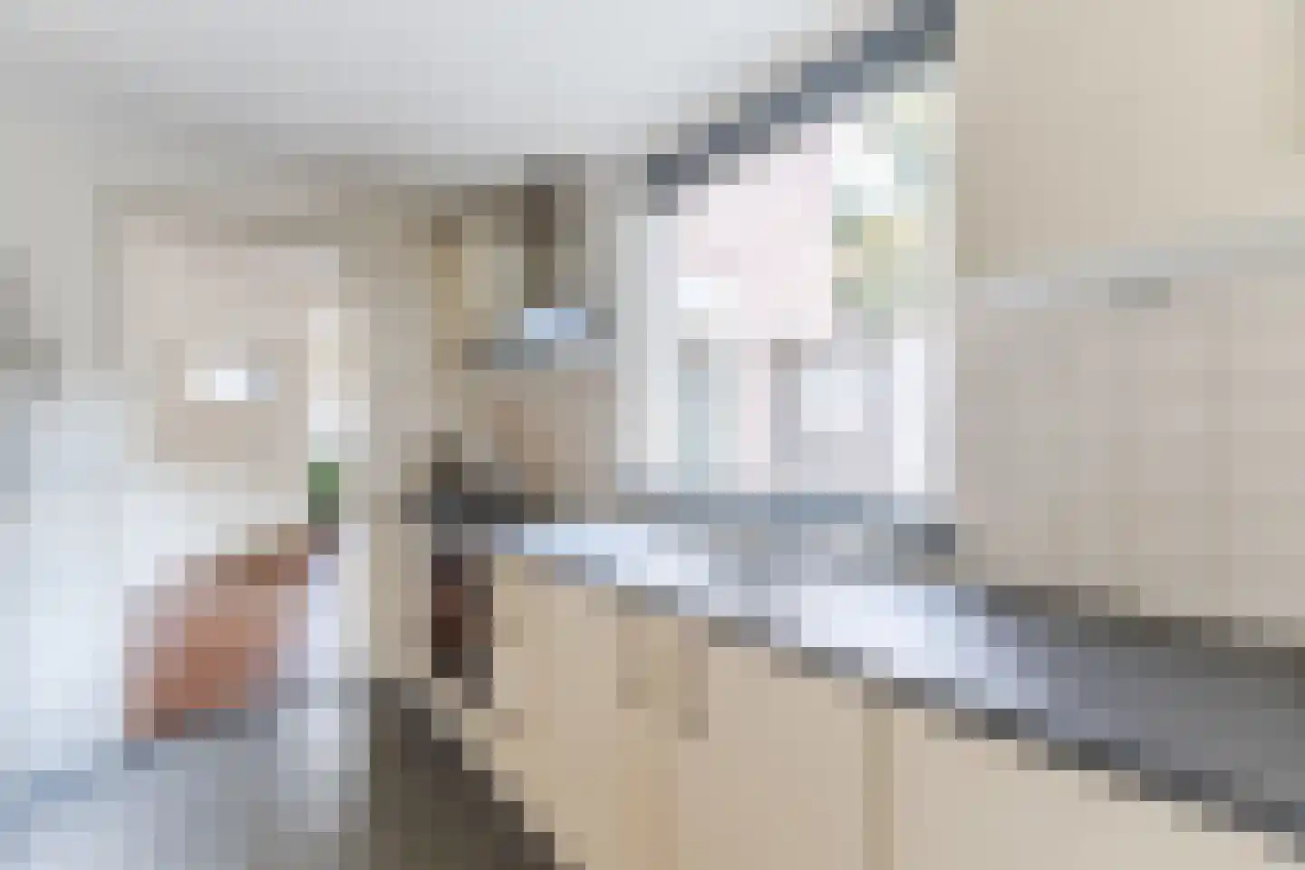 Superior de Beerstraat 116 Tilburg thumbnail 11