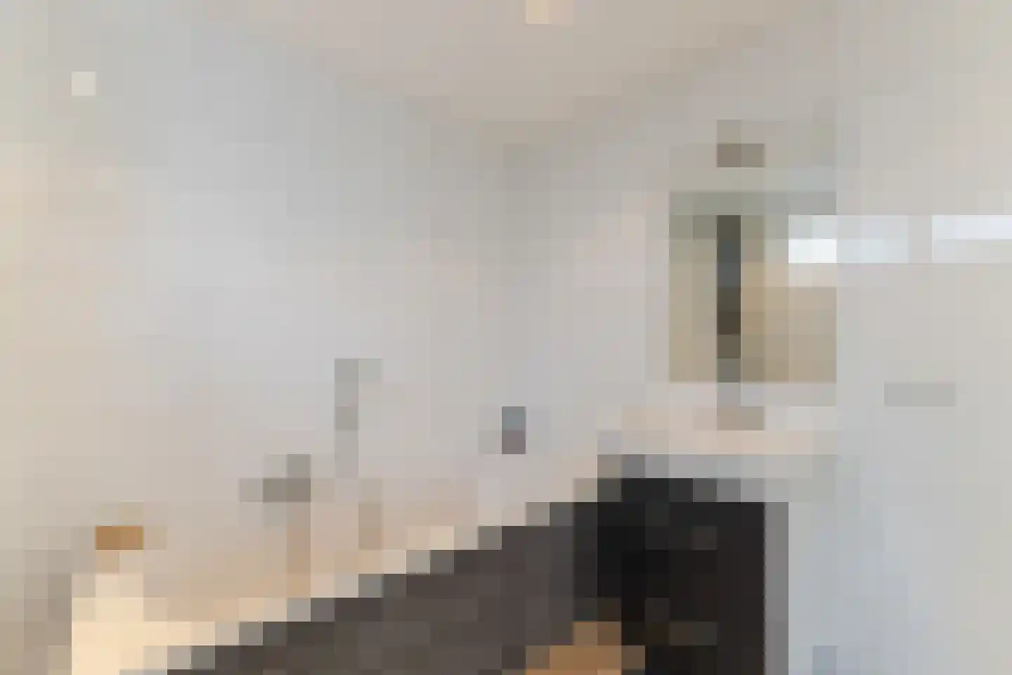 Superior de Beerstraat 116 Tilburg thumbnail 16