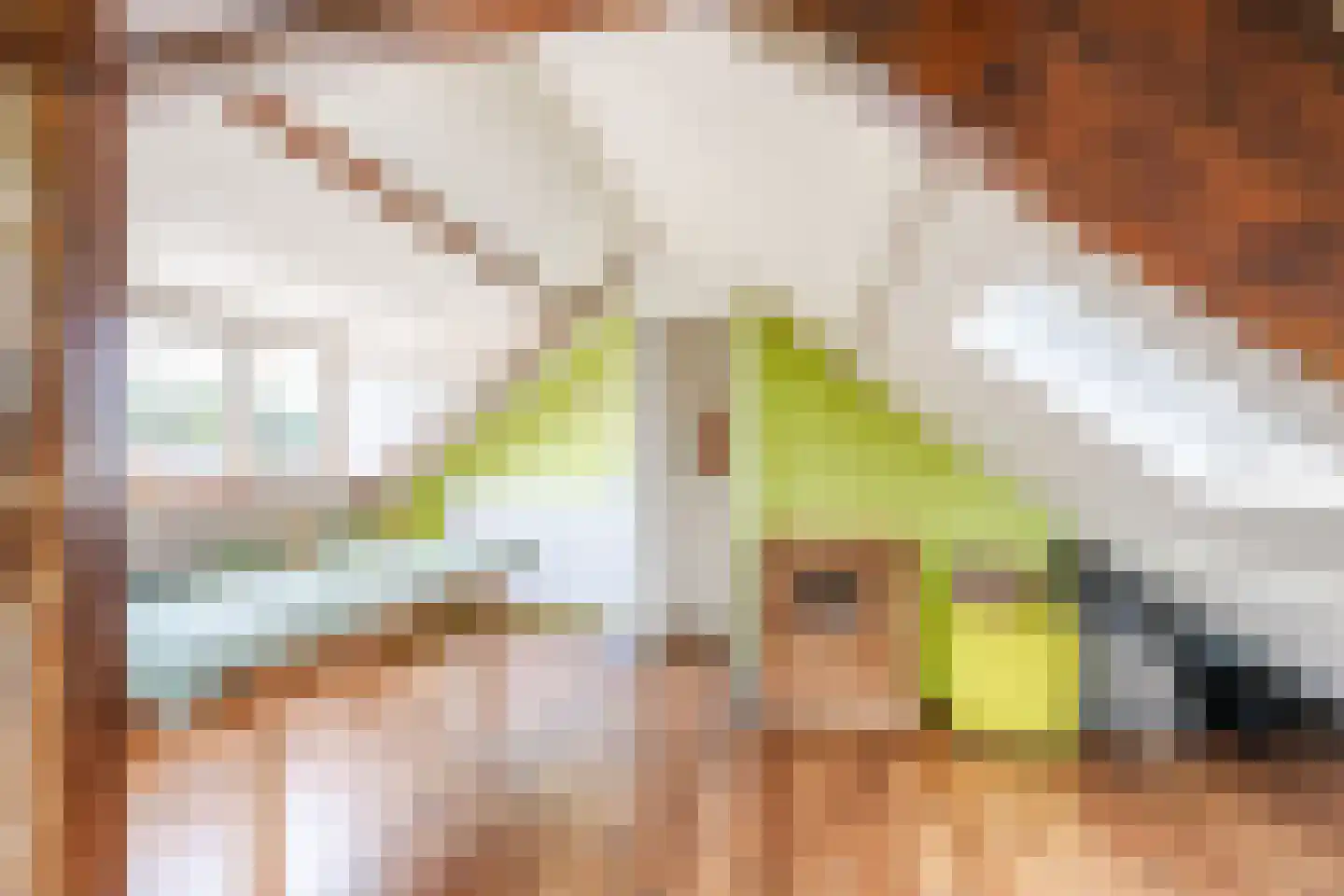 Superior de Beerstraat 116 Tilburg thumbnail 33
