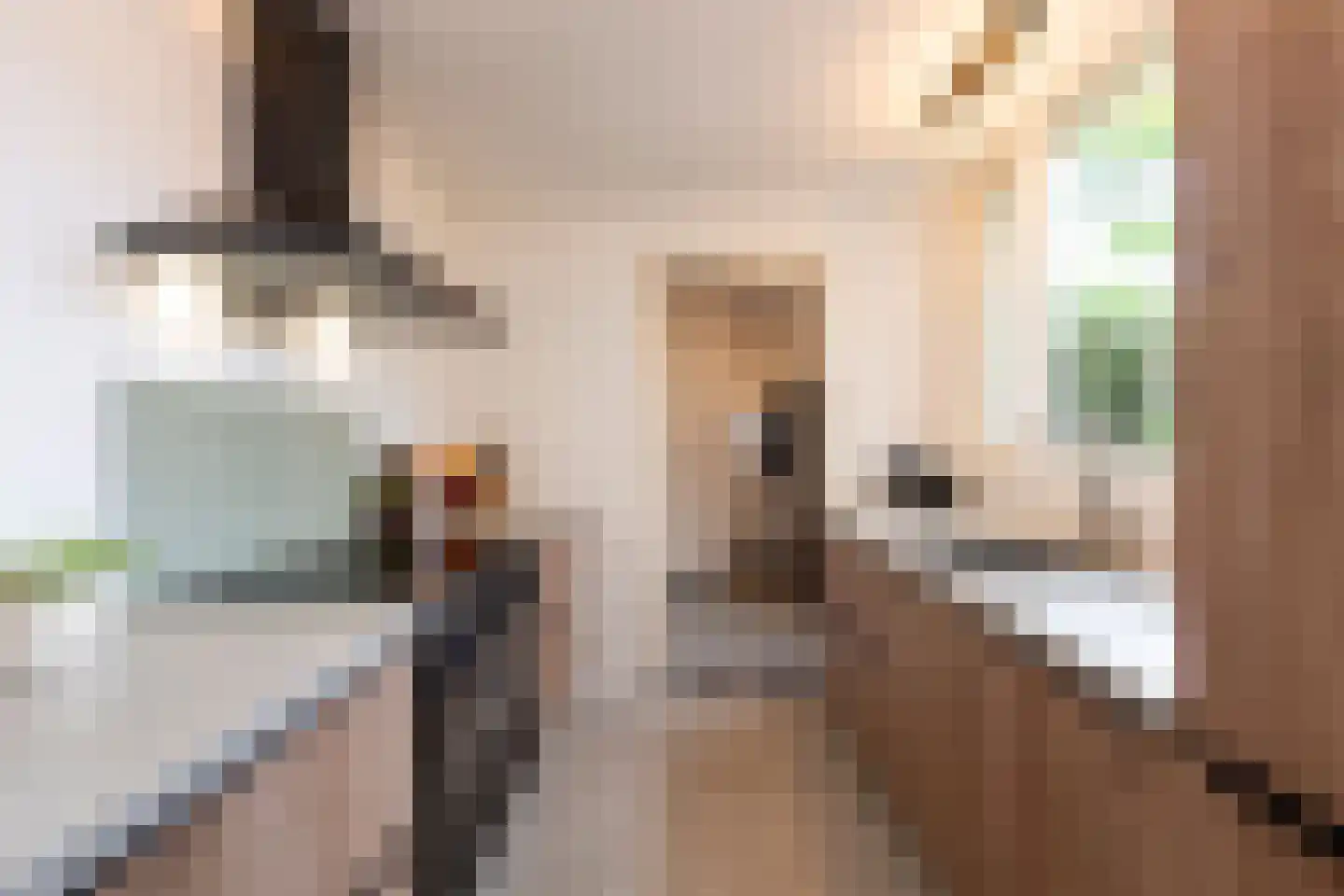 Superior de Beerstraat 35 Tilburg thumbnail 14