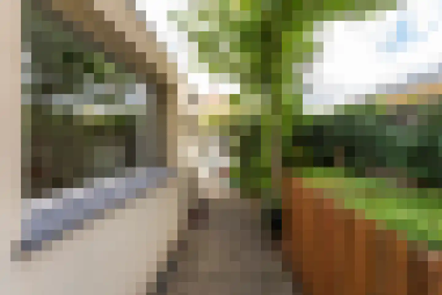 Superior de Beerstraat 35 Tilburg thumbnail 38
