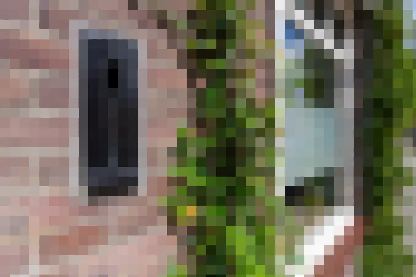 Superior de Beerstraat 35 Tilburg thumbnail 6