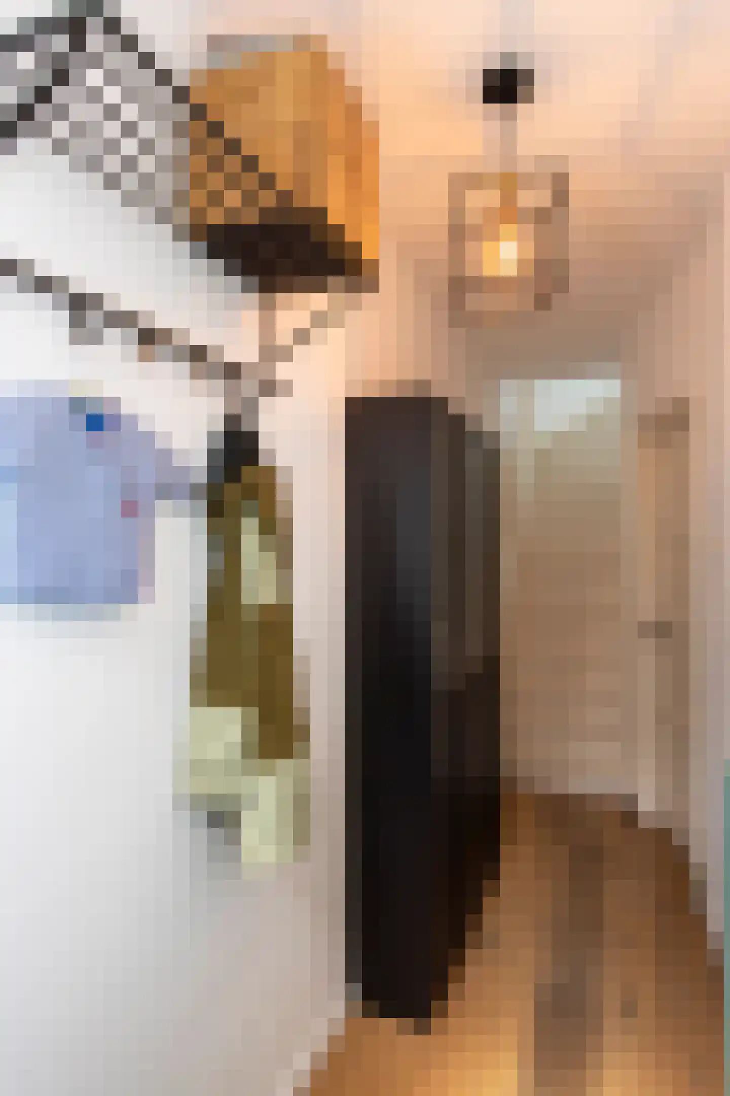 Superior de Beerstraat 35 Tilburg thumbnail 9