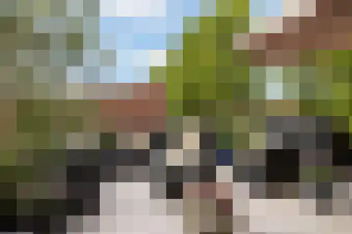 Surinamehof 1 IJsselstein thumbnail 36