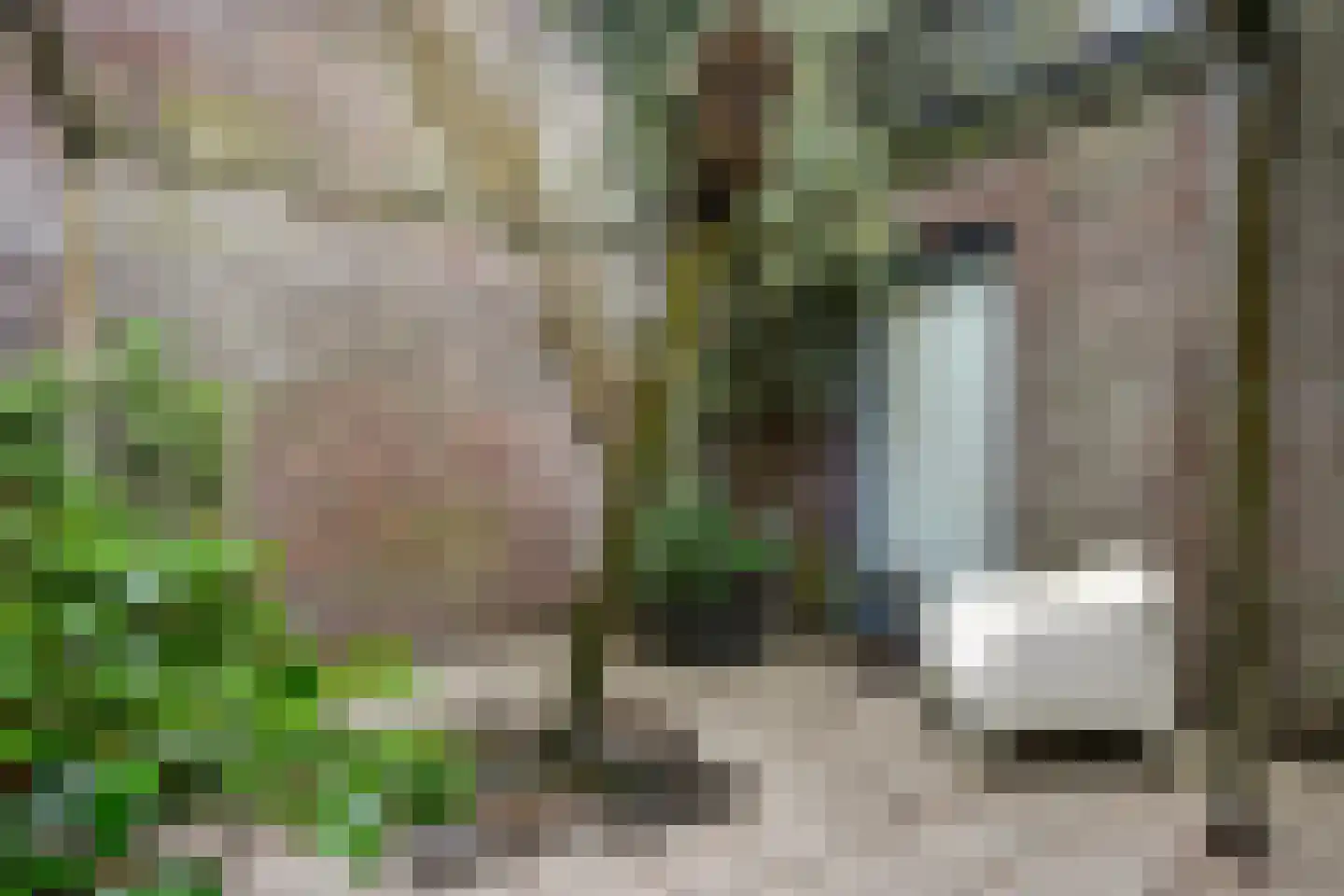 Surinamehof 13 IJsselstein thumbnail 26