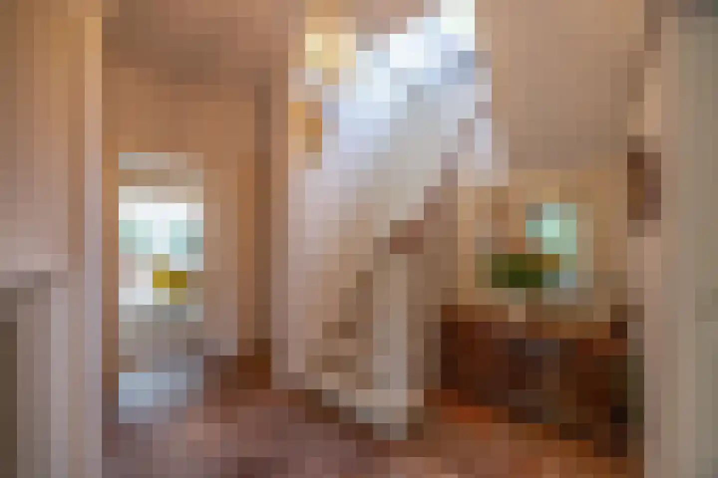 Surinamelaan 10 Hilversum thumbnail 17