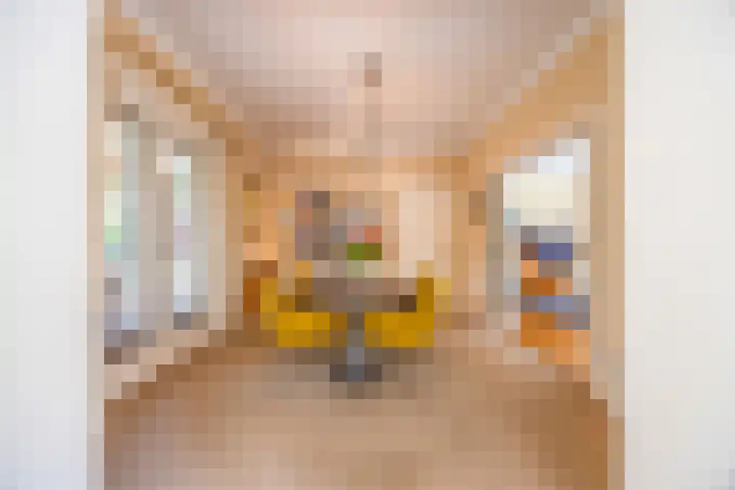 Surinamelaan 10 Hilversum thumbnail 23