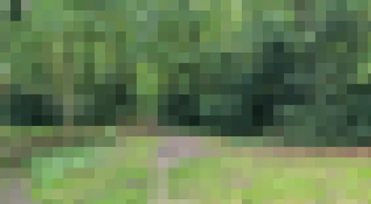 Surinamelaan 119 Amersfoort thumbnail 7