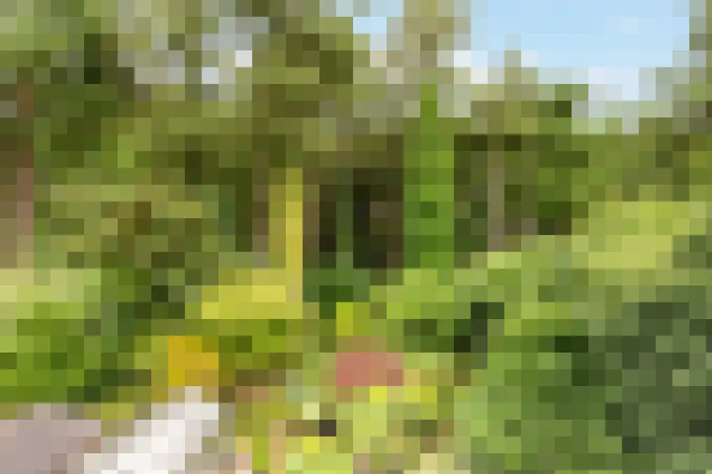 Surinamelaan 17 C Hilversum thumbnail 41
