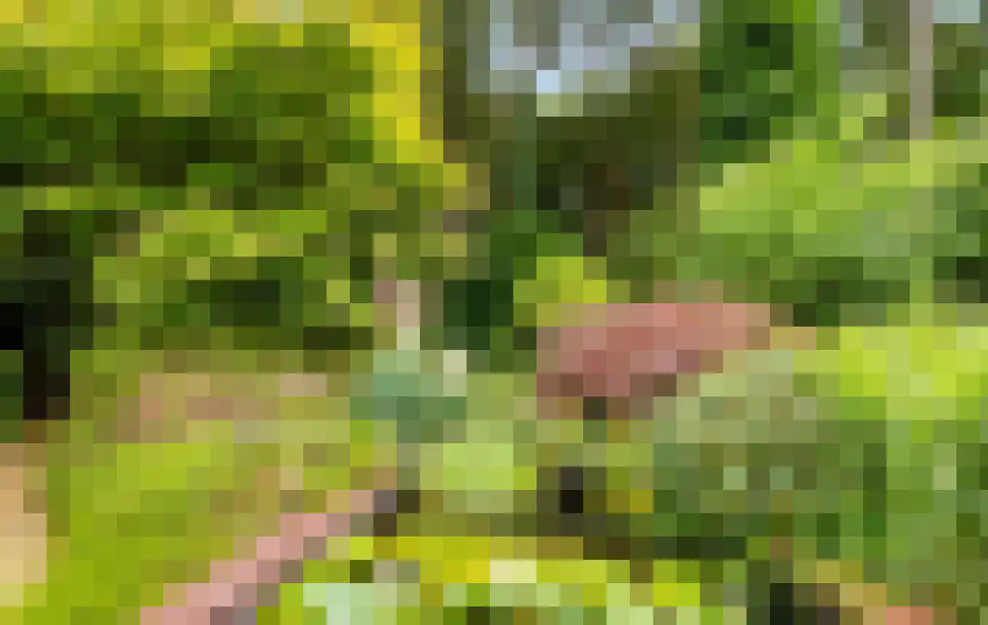 Surinamelaan 17 C Hilversum thumbnail 43