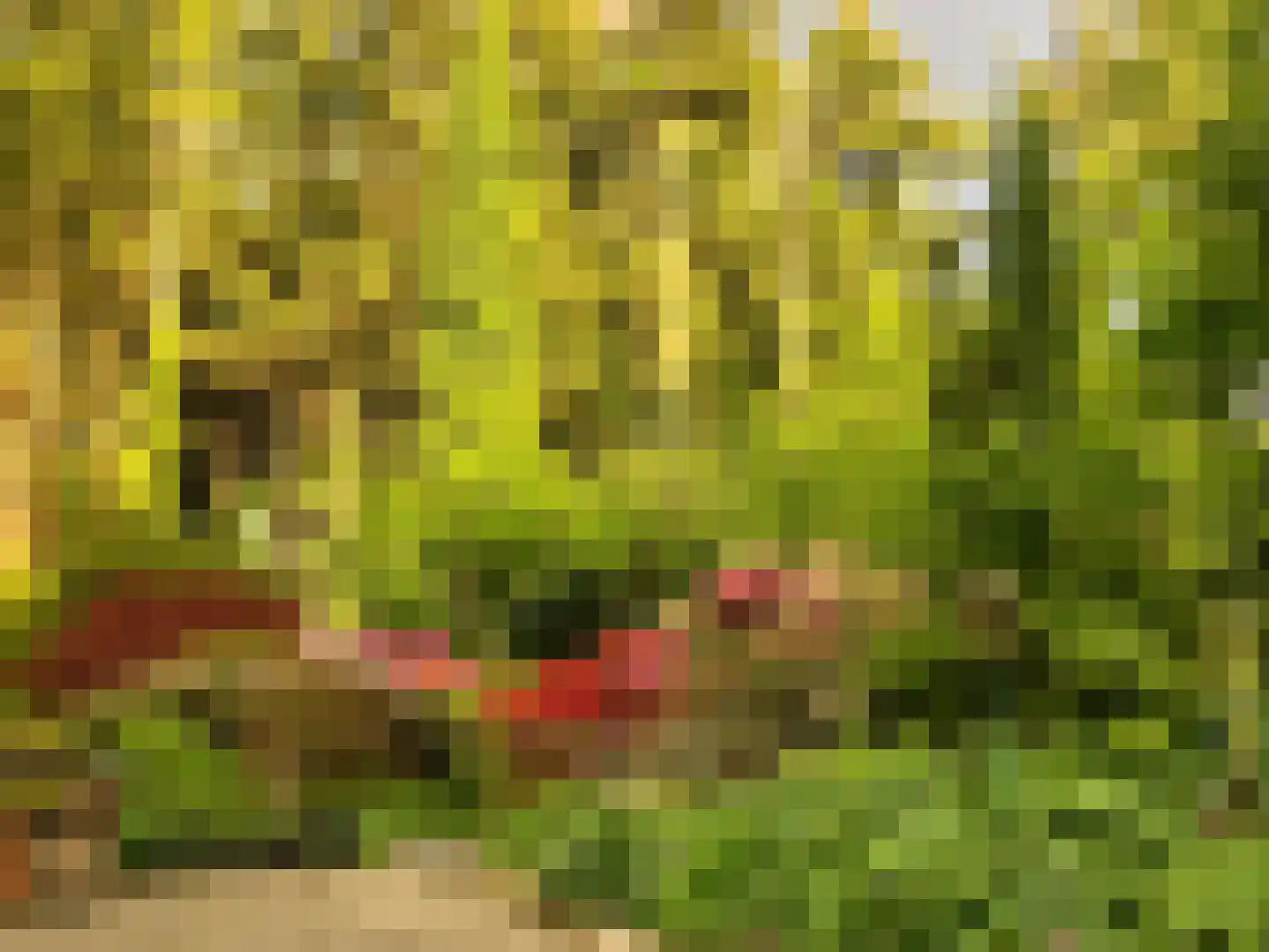 Surinamelaan 17 C Hilversum thumbnail 45