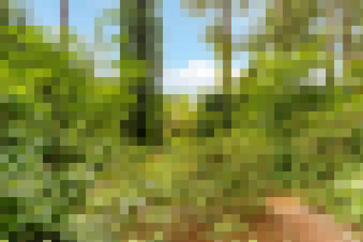 Surinamelaan 17 C Hilversum thumbnail 47