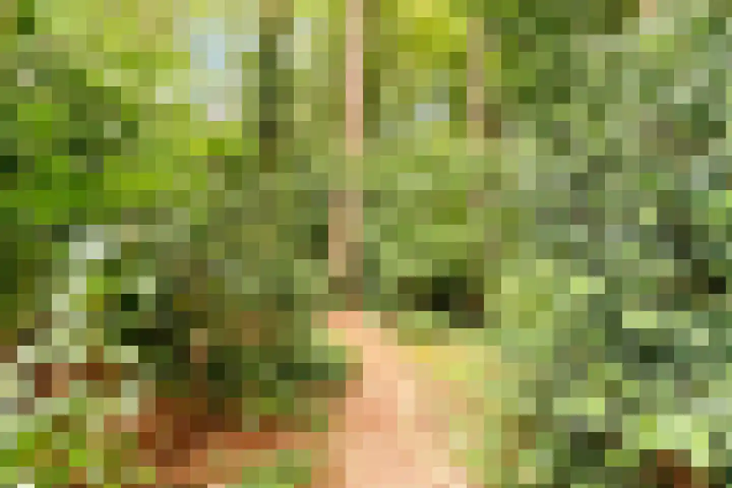 Surinamelaan 17 C Hilversum thumbnail 49