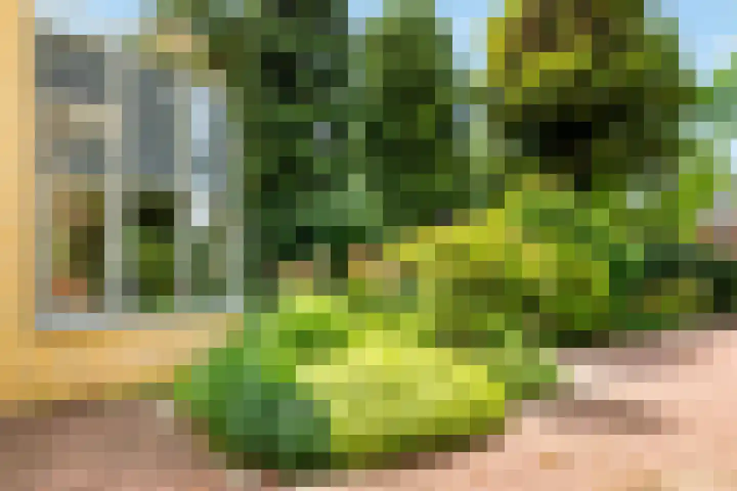Surinamelaan 17 C Hilversum thumbnail 52