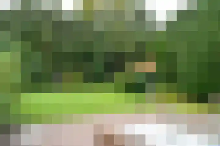 Surinamelaan 5 Hilversum thumbnail 10