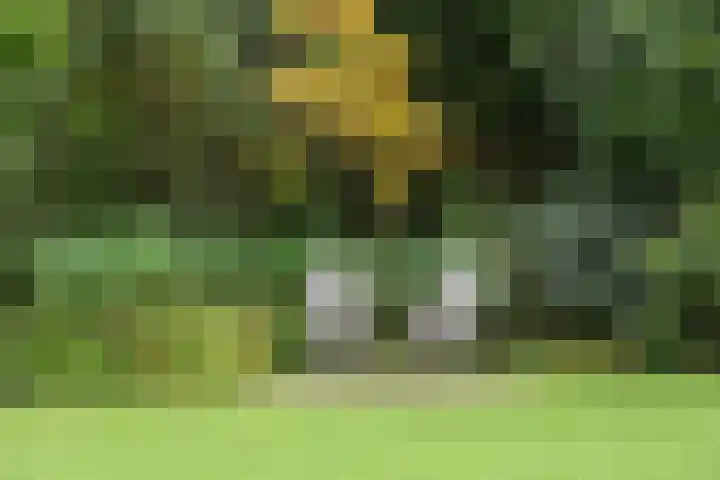 Surinamelaan 5 Hilversum thumbnail 11