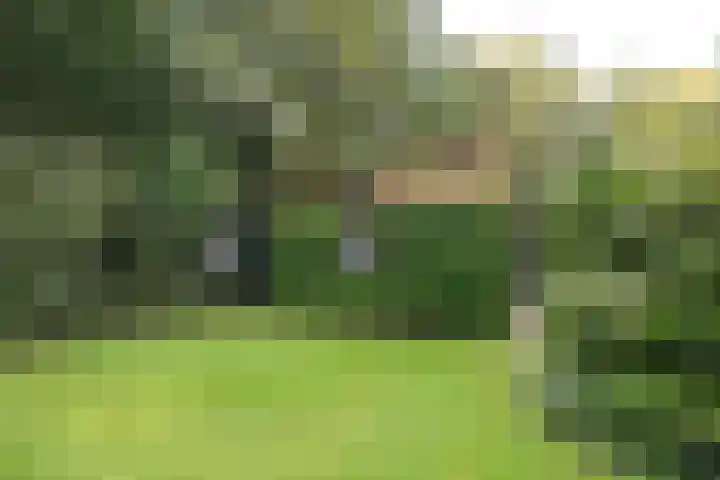Surinamelaan 5 Hilversum thumbnail 12