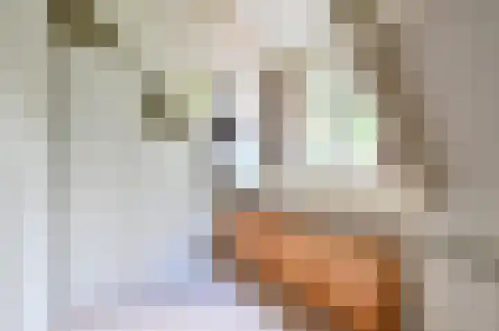 Surinamelaan 5 Hilversum thumbnail 27